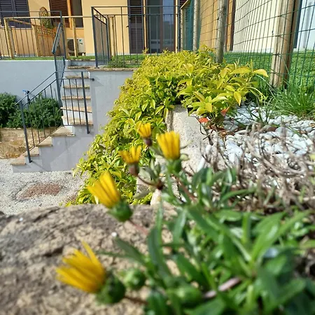 Mi & Mi Apartament Ankona